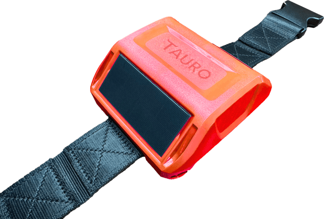 An image of the Tauro collar showing the orange shell and integrated solar panel.
